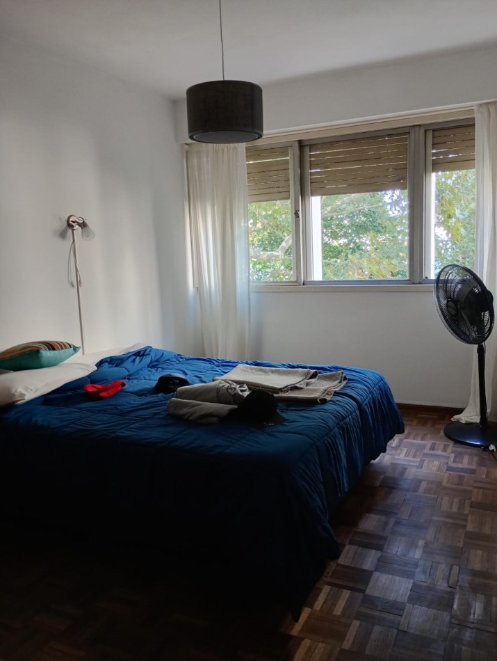 Alquiler depto 2 dorm + 1 de servicio. Cochera opcional 56 e/ 5 y 6