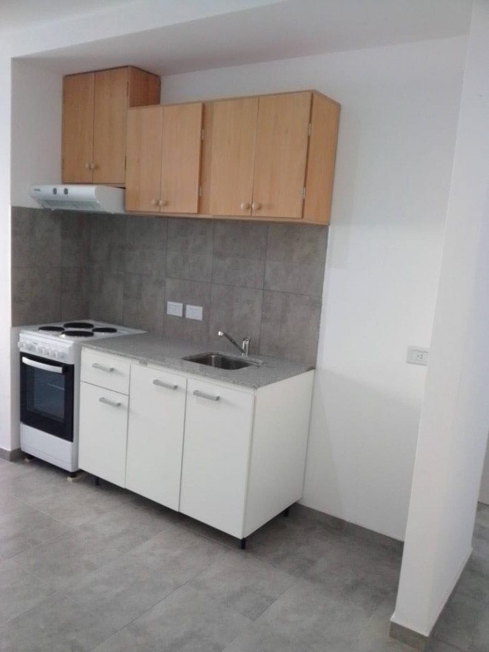 ALQUILER DPTO UN DORM 31 Y 66