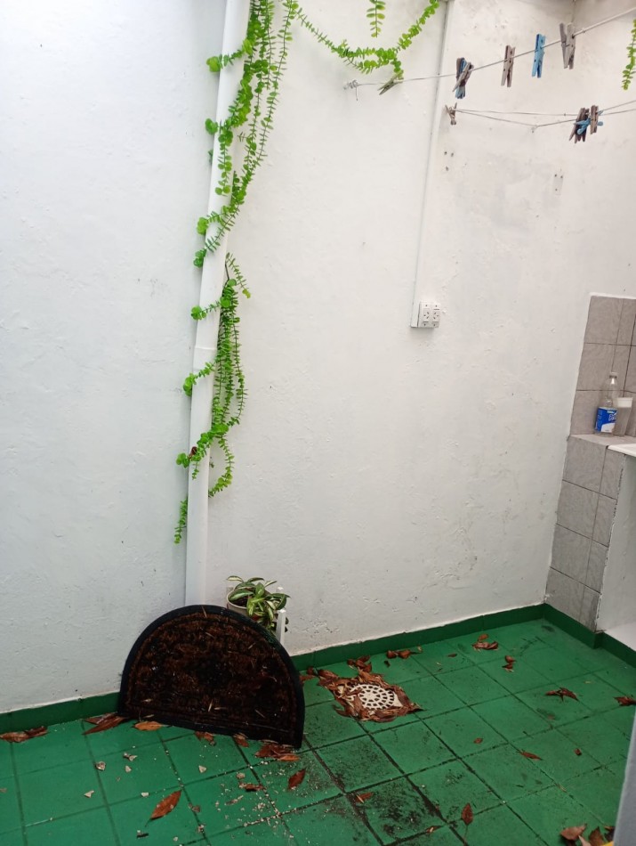 Alquiler depto 1 dormitorio 66 e/8 y Plaza España  S/EXPENSAS