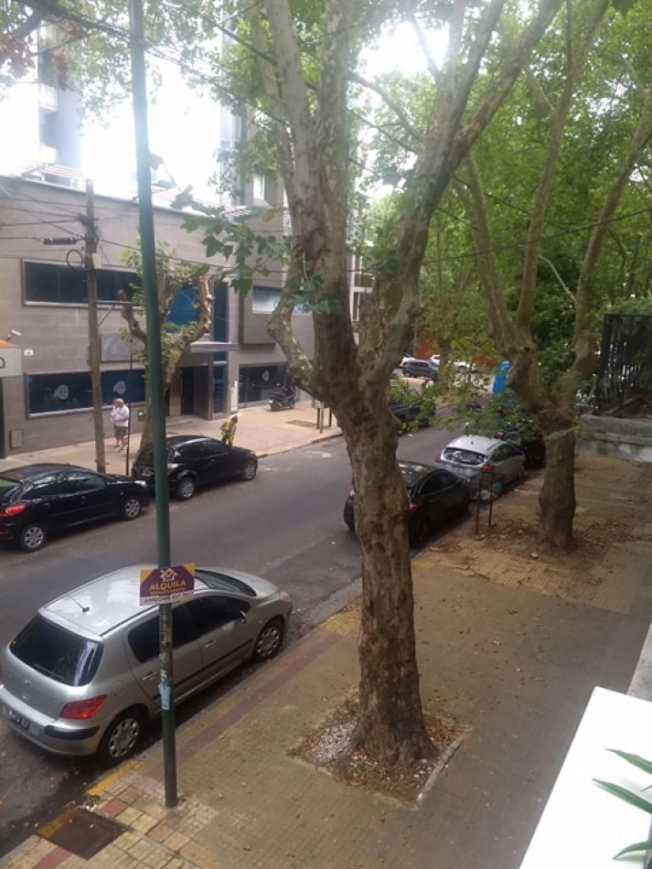 Alquiler depto 2 dorm + cochera 42 e/10 y 11