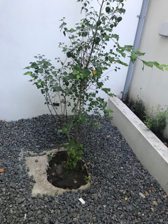 ALQUILER DUPLEX 19 Y 48