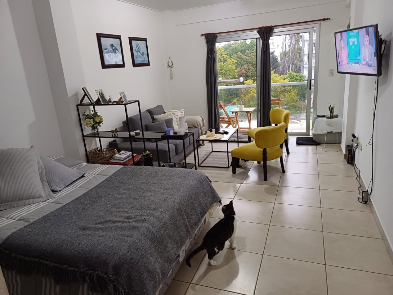 Alquiler monoambiente en Av. 51 entre 20 y 21