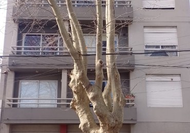 ALQUILER DPTO UN DORM EN 2 Y 63